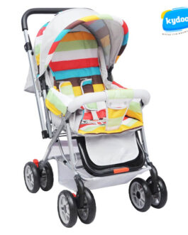 Choosing the Right R for Rabbit Stroller in India 2023
